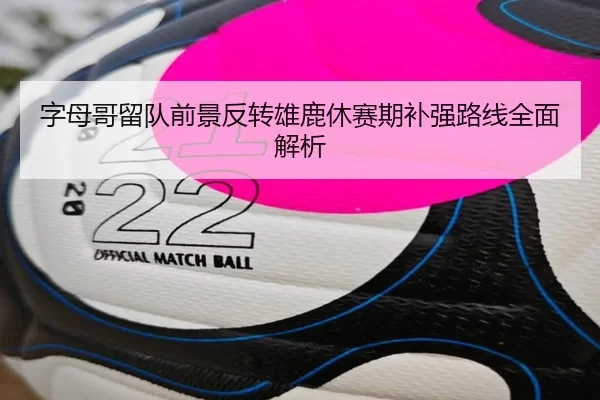字母哥留队前景反转雄鹿休赛期补强路线全面解析 - kaiyun sports